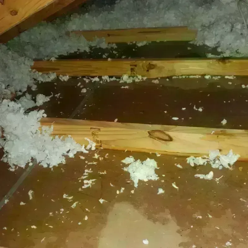 Attic Water Damage in Hurley, NM